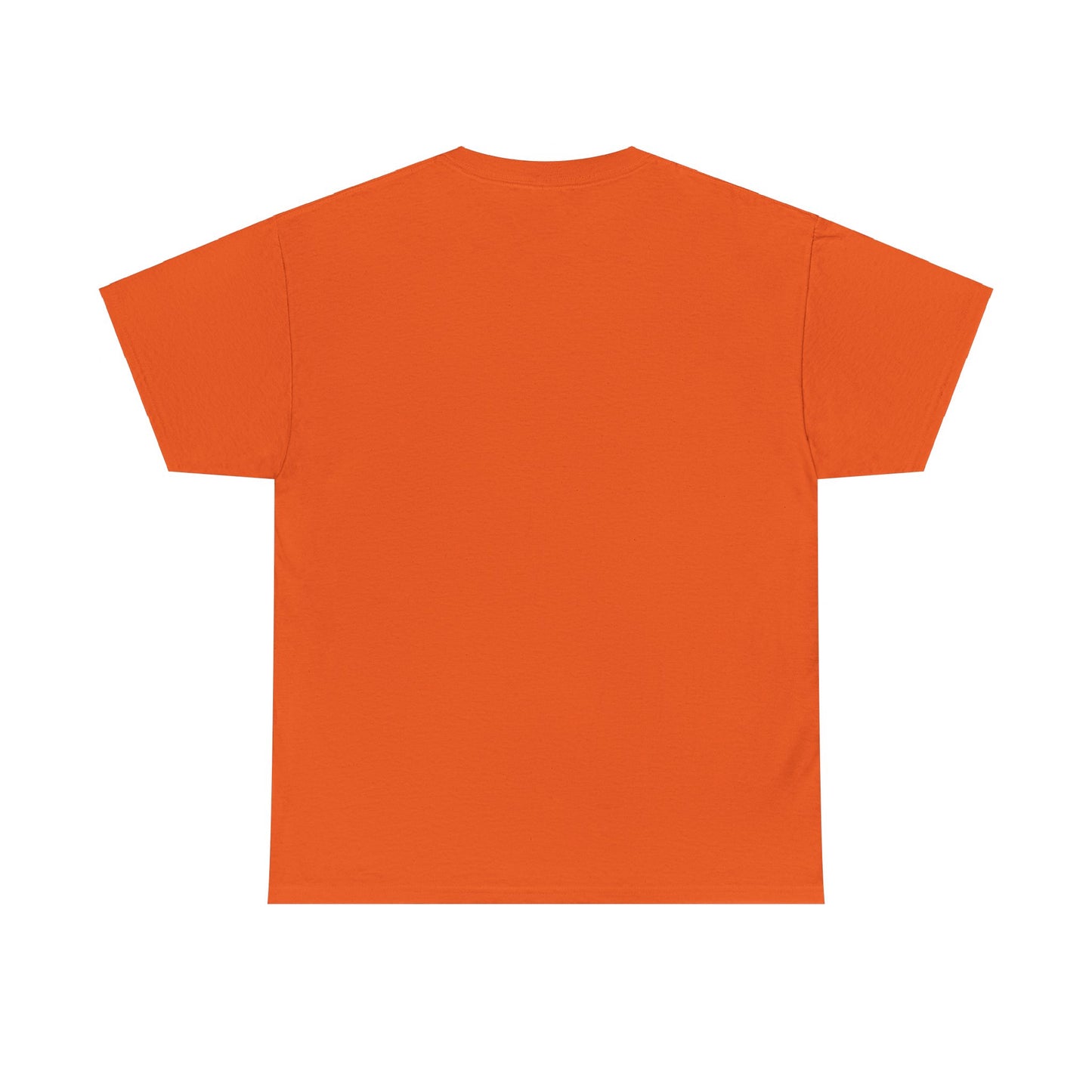 The Vanguard 1 Unisex Heavy Cotton Tee