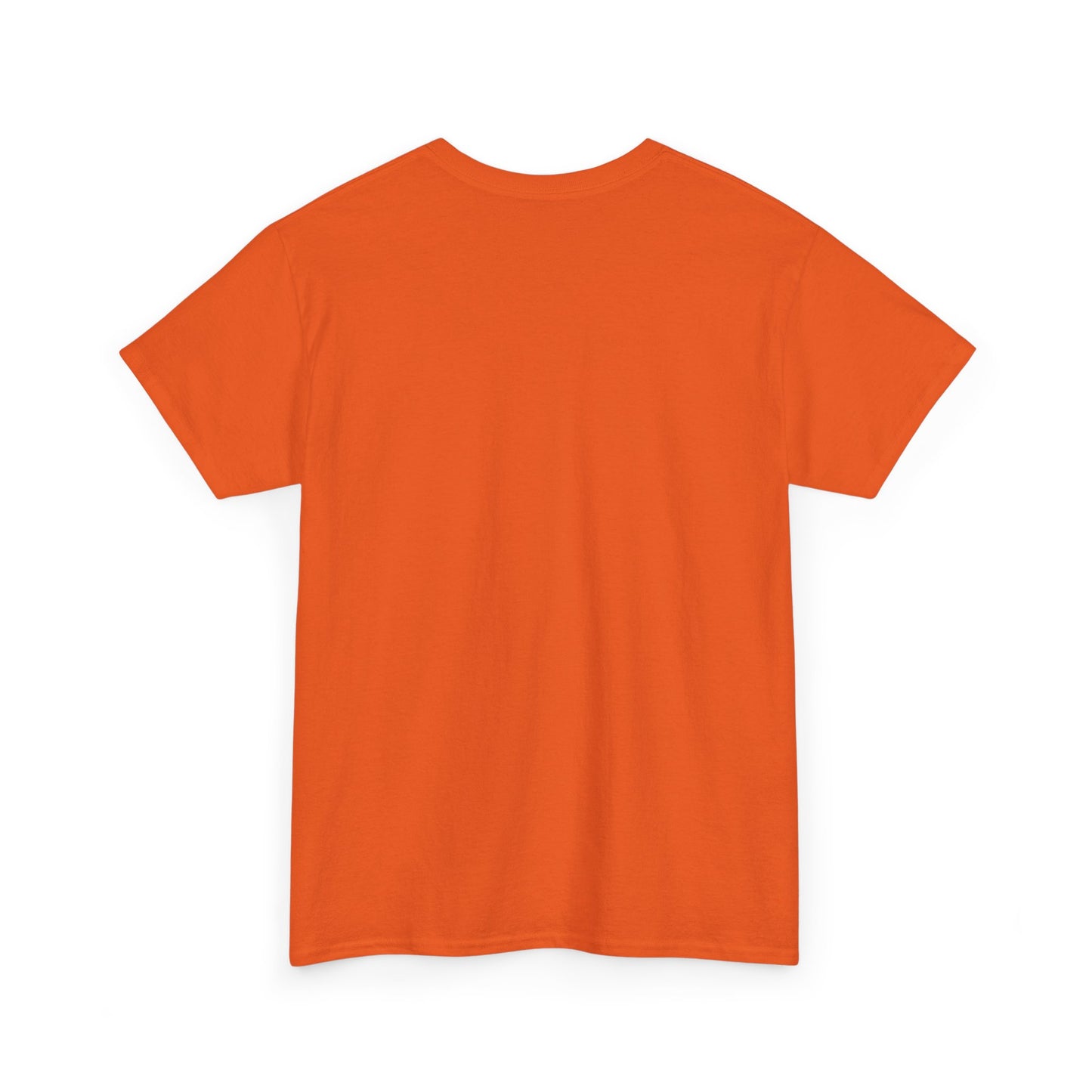 The Vanguard 1 Unisex Heavy Cotton Tee